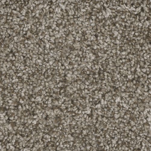 Jelly Bean Walnut Ridge by Chesapeake Flooring Rockland, MA Jeff's